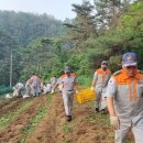 남성농장 이미지