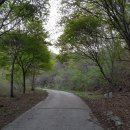 사방댐 | 2018. 4. 26 황석산(사방댐-피바위-남문지-황석산-거북바위-북봉-사방댐)(1)