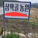 삼막골농원 Daum카페