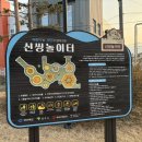 신씽놀이터 이미지