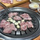 참말로육구구이