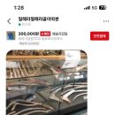 공룡장터