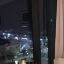 JS함덕 이미지