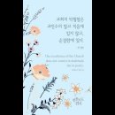 오늘의 '신앙 명언'(200강) 존 칼빈(John Calvin) 이미지