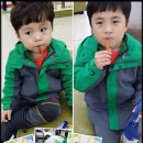 용용건강