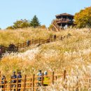 제27회 포천 산정호수 명성산 억새꽃 축제 이미지