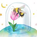 홀스마스터즈 승마클럽 이미지