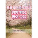안양교도소 | 군포 철쭉축제 근처 안양 벚꽃 명소 모음 (잘 모르는 곳)