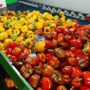 승우농장 이미지