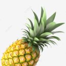 파인애플 이미지