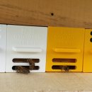 도걸농장 이미지