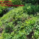 명곡동529 이미지