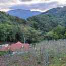 자연 제1농장 이미지