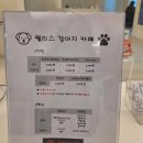 웰리스 동물병원 이미지