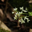 불평등과 평등 이미지