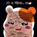 광달이 네이버블로그