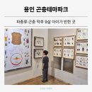 곤농장 | 용인곤충테마파크 후기 | 파충류·곤충 덕후 9살 아이가 반한 곳