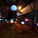 부산대학로 이미지