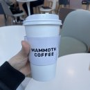 황대박낙지볶음칼국수 이미지