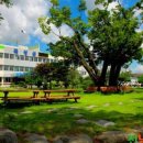 곡성-140 이미지