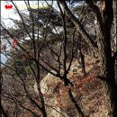 위례둘레길 이미지