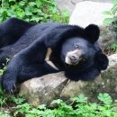 귀천농장 이미지