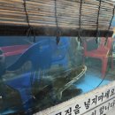 와동상사 이미지