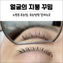 얼굴의지붕꾸밈