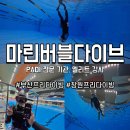 봉곡동302 | [마린버블다이브] 부산프리다이빙,창원프리다이빙 체험 후기 | 오픈워터 자격증교육, PADI 엘리트강사