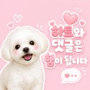 숲멍 | 계양 애견동반카페 다남숲멍빌리지 솔직후기- 입장료, 음식물 반입, 주차 총정리