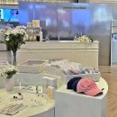 헐리우드 이미지