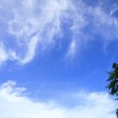 자연애 민박 이미지