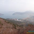 소동느티나무 이미지