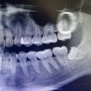 유성온치과의원 이미지