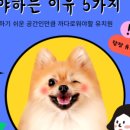 올바른 참견 이미지