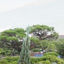 숲속의 정원 이미지
