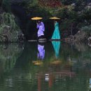 CN환경