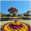 시민행정사사무소 이미지