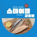 배드펫컴퍼니 이미지