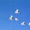 청목 경로당 이미지