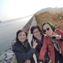 묵향 담은 서예 이미지