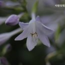 사랑재가센타 이미지