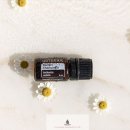 동탄대로10가길 이미지