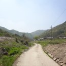 시골길 이미지