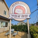 해빵이네 | 울산 간절곶 해빵 완판 맛집, 평일 방문 후기와 꿀팁 🛒