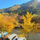 또아리하우스 이미지