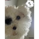 윤꾸샵 | 가을이 오는중