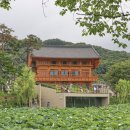 (주)애니멀공화국 | 이색 청주 카페 추천 Best 3 (대형카페, 한옥, 고양이)