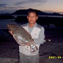 새만금농장 이미지