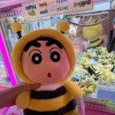 주니 퍼니 이미지